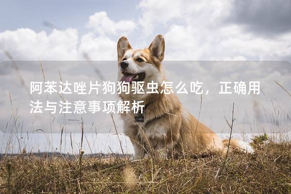 阿苯达唑片狗狗驱虫怎么吃，正确用法与注意事项解析