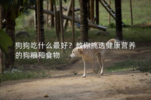 狗狗吃什么最好？教你挑选健康营养的狗粮和食物