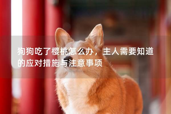 狗狗吃了樱桃怎么办，主人需要知道的应对措施与注意事项