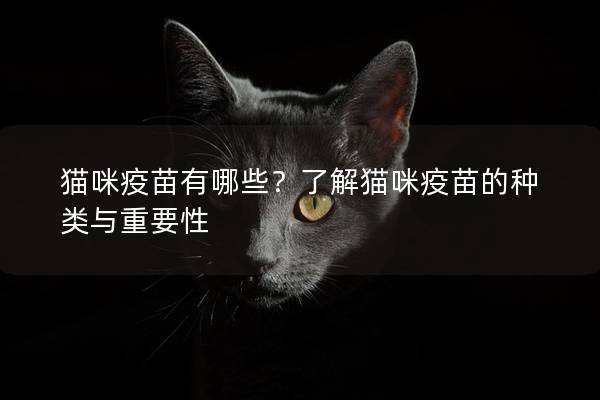 猫咪疫苗有哪些？了解猫咪疫苗的种类与重要性