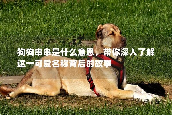 狗狗串串是什么意思，带你深入了解这一可爱名称背后的故事