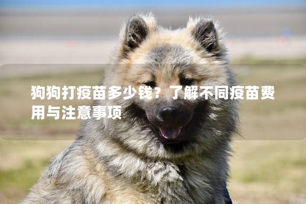 狗狗打疫苗多少钱？了解不同疫苗费用与注意事项