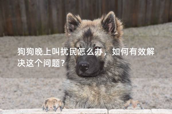 狗狗晚上叫扰民怎么办，如何有效解决这个问题？