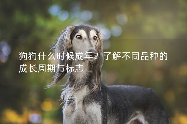 狗狗什么时候成年？了解不同品种的成长周期与标志