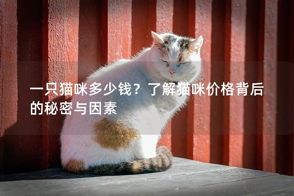 一只猫咪多少钱？了解猫咪价格背后的秘密与因素