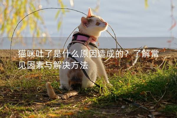 猫咪吐了是什么原因造成的？了解常见因素与解决方法