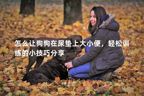 怎么让狗狗在尿垫上大小便，轻松训练的小技巧分享