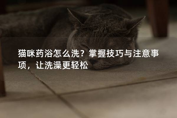猫咪药浴怎么洗？掌握技巧与注意事项，让洗澡更轻松