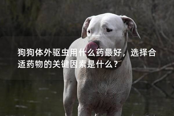 狗狗体外驱虫用什么药最好，选择合适药物的关键因素是什么？