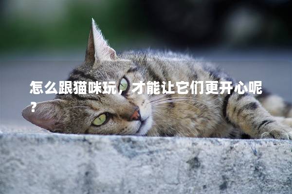 怎么跟猫咪玩，才能让它们更开心呢？
