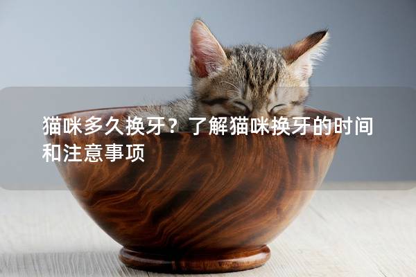 猫咪多久换牙？了解猫咪换牙的时间和注意事项