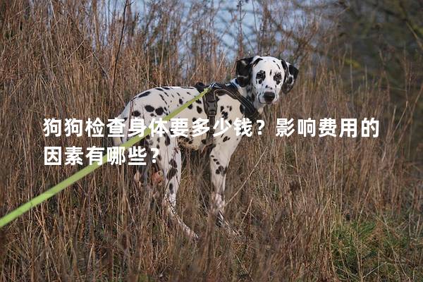 狗狗检查身体要多少钱？影响费用的因素有哪些？