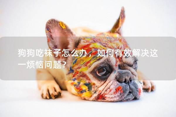 狗狗吃袜子怎么办，如何有效解决这一烦恼问题？