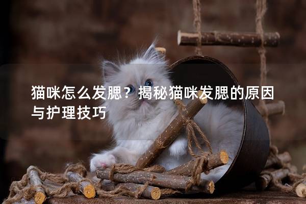 猫咪怎么发腮？揭秘猫咪发腮的原因与护理技巧