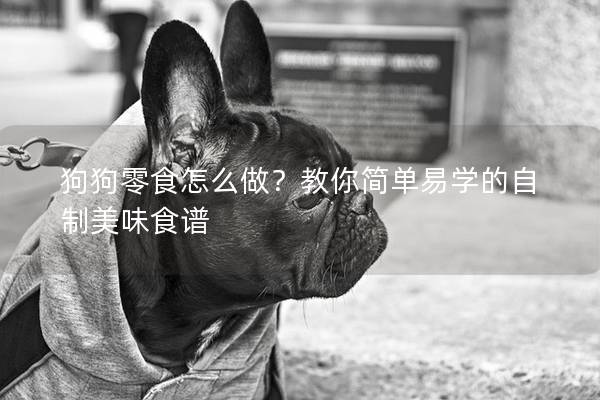 狗狗零食怎么做？教你简单易学的自制美味食谱