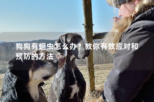 狗狗有蛔虫怎么办？教你有效应对和预防的方法