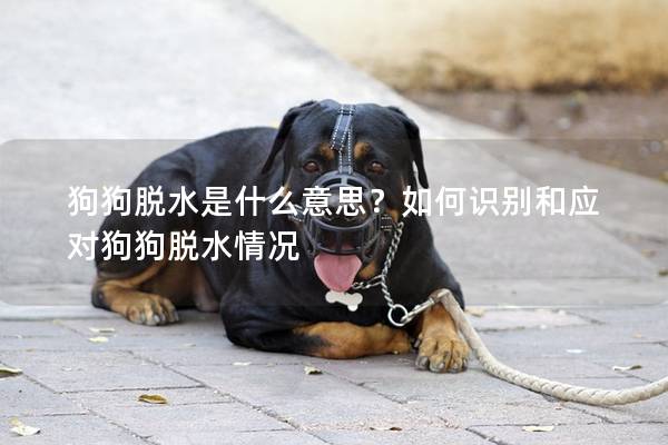 狗狗脱水是什么意思？如何识别和应对狗狗脱水情况
