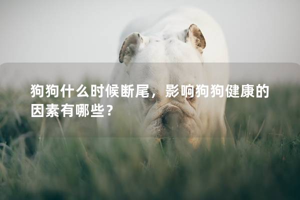 狗狗什么时候断尾，影响狗狗健康的因素有哪些？