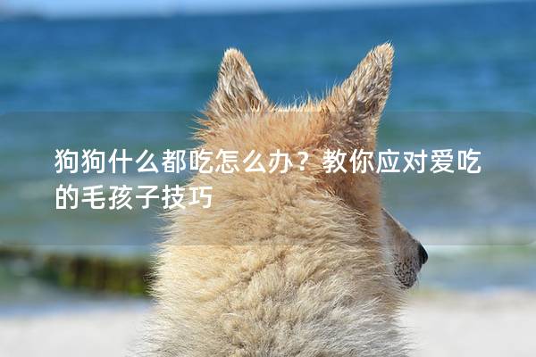 狗狗什么都吃怎么办？教你应对爱吃的毛孩子技巧