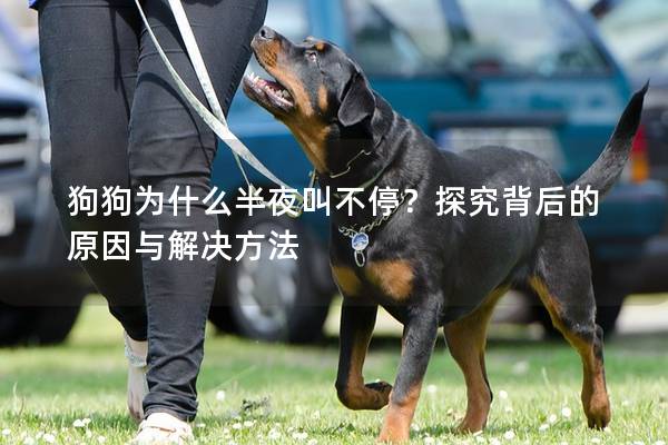 狗狗为什么半夜叫不停？探究背后的原因与解决方法