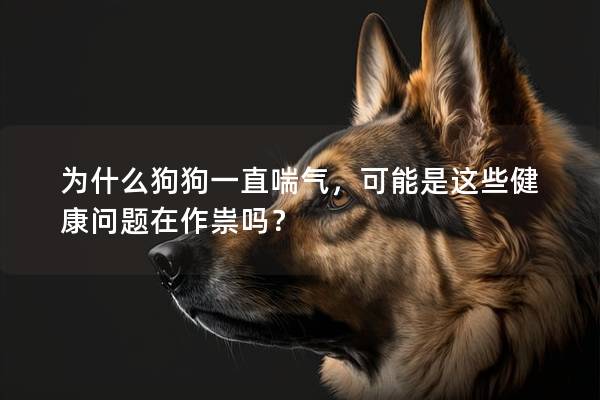 为什么狗狗一直喘气，可能是这些健康问题在作祟吗？