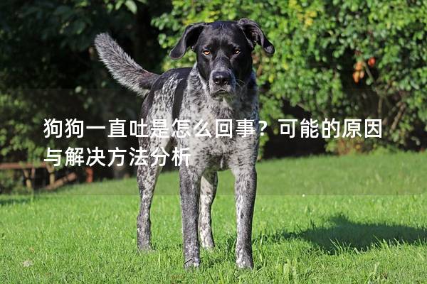 狗狗一直吐是怎么回事？可能的原因与解决方法分析