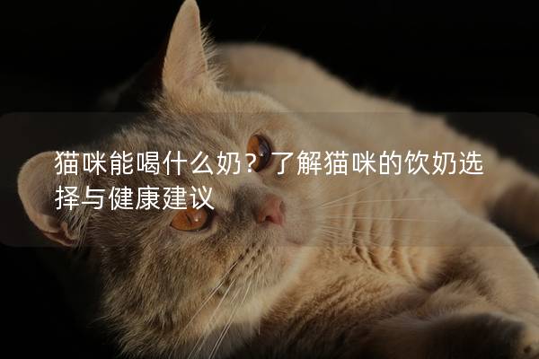 猫咪能喝什么奶？了解猫咪的饮奶选择与健康建议