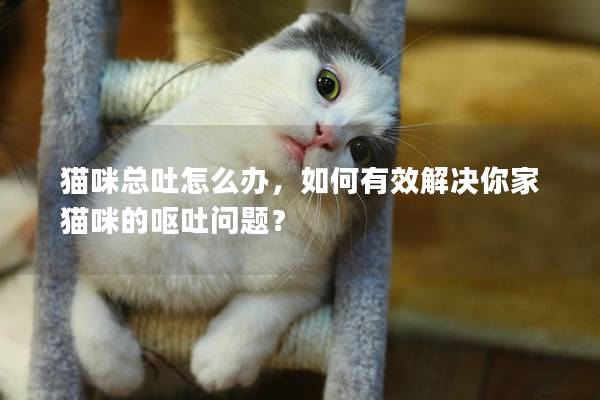 猫咪总吐怎么办，如何有效解决你家猫咪的呕吐问题？
