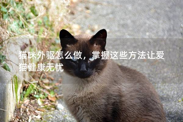 猫咪外驱怎么做，掌握这些方法让爱猫健康无忧