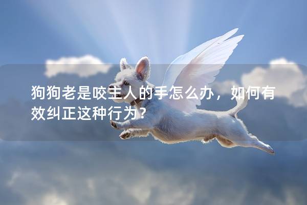 狗狗老是咬主人的手怎么办，如何有效纠正这种行为？