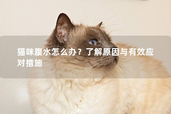 猫咪腹水怎么办？了解原因与有效应对措施