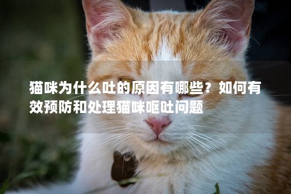 猫咪为什么吐的原因有哪些？如何有效预防和处理猫咪呕吐问题