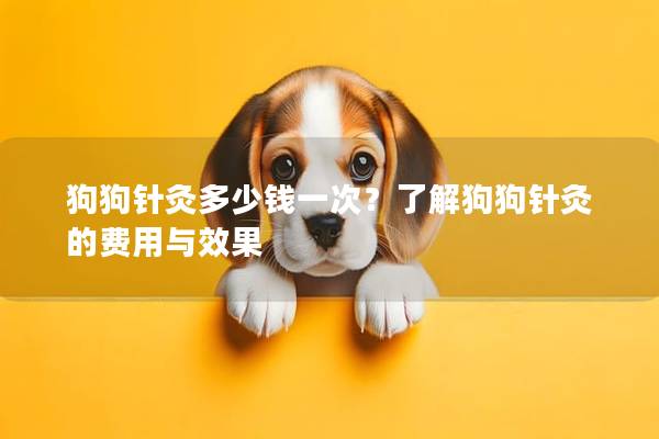 狗狗针灸多少钱一次？了解狗狗针灸的费用与效果