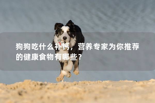 狗狗吃什么补钙，营养专家为你推荐的健康食物有哪些？