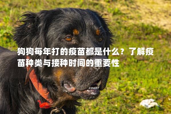 狗狗每年打的疫苗都是什么？了解疫苗种类与接种时间的重要性