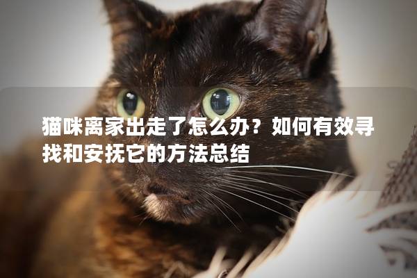 猫咪离家出走了怎么办？如何有效寻找和安抚它的方法总结