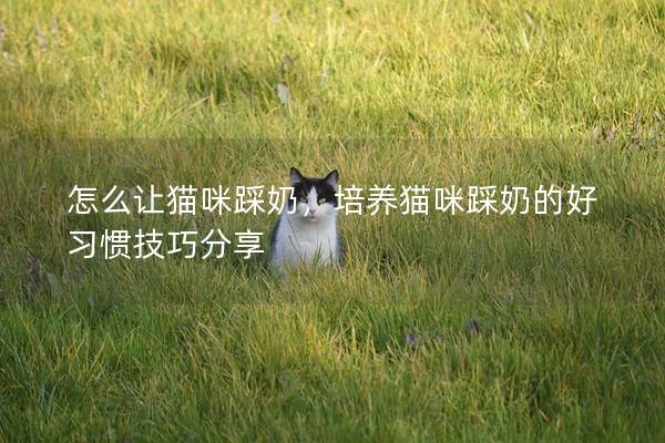 怎么让猫咪踩奶，培养猫咪踩奶的好习惯技巧分享