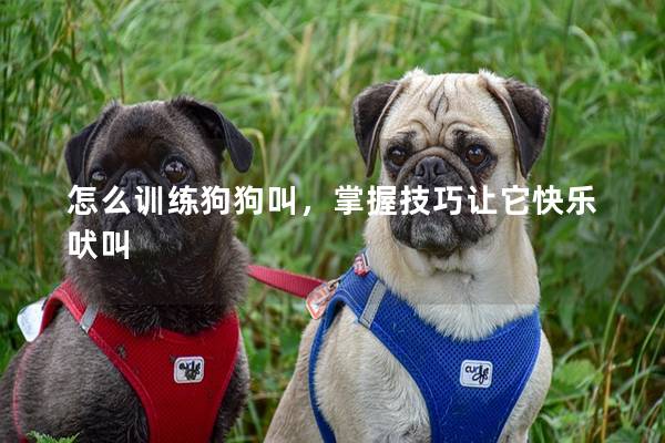 怎么训练狗狗叫，掌握技巧让它快乐吠叫