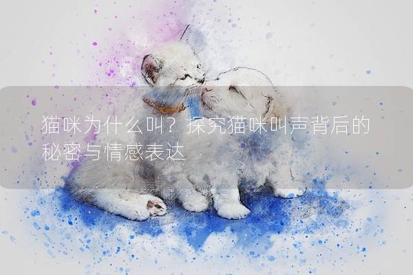 猫咪为什么叫？探究猫咪叫声背后的秘密与情感表达