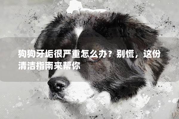 狗狗牙垢很严重怎么办？别慌，这份清洁指南来帮你
