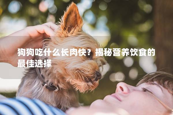 狗狗吃什么长肉快？揭秘营养饮食的最佳选择