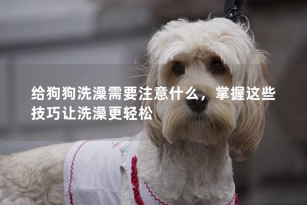 给狗狗洗澡需要注意什么，掌握这些技巧让洗澡更轻松