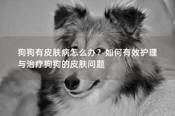 狗狗有皮肤病怎么办？如何有效护理与治疗狗狗的皮肤问题