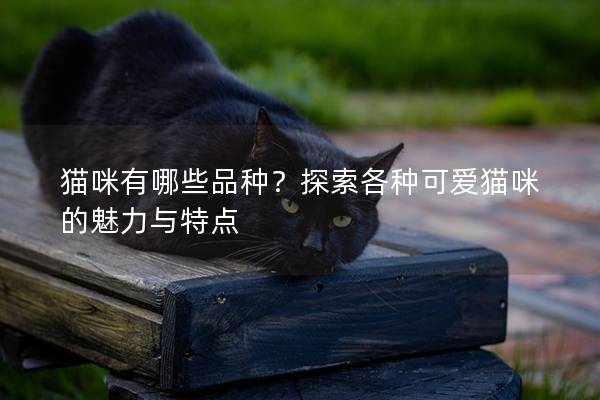 猫咪有哪些品种？探索各种可爱猫咪的魅力与特点