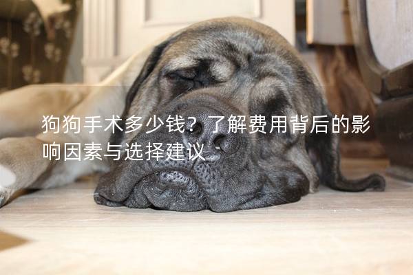 狗狗手术多少钱？了解费用背后的影响因素与选择建议