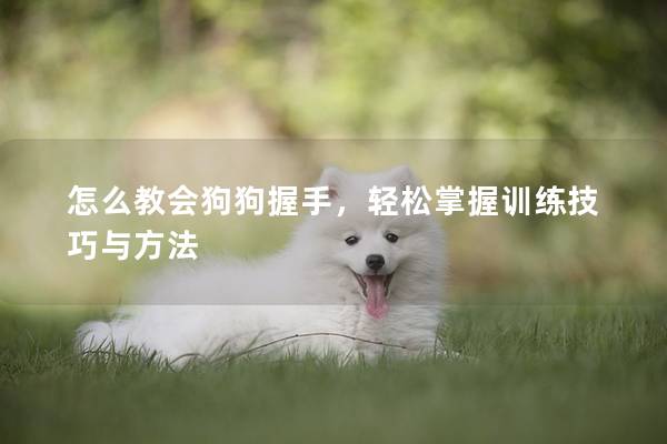 怎么教会狗狗握手，轻松掌握训练技巧与方法