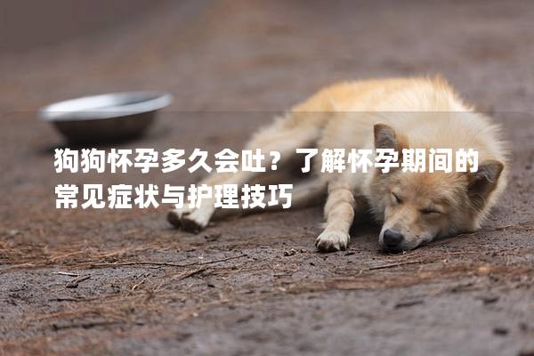 狗狗怀孕多久会吐？了解怀孕期间的常见症状与护理技巧