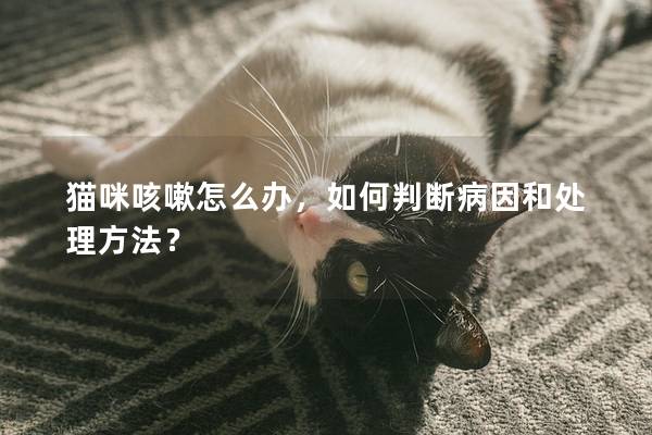 猫咪咳嗽怎么办，如何判断病因和处理方法？