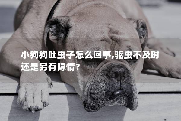 小狗狗吐虫子怎么回事,驱虫不及时还是另有隐情？