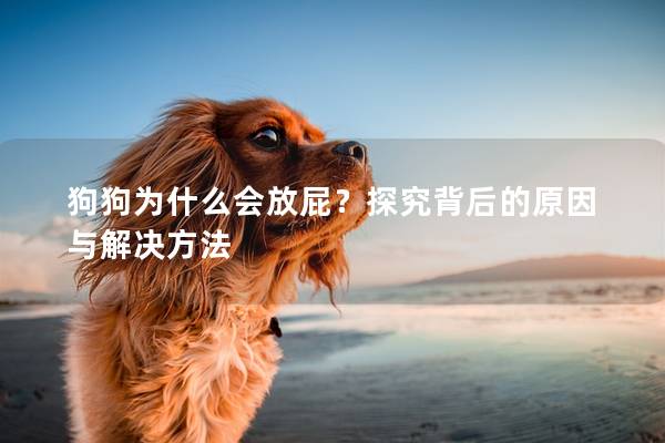 狗狗为什么会放屁？探究背后的原因与解决方法